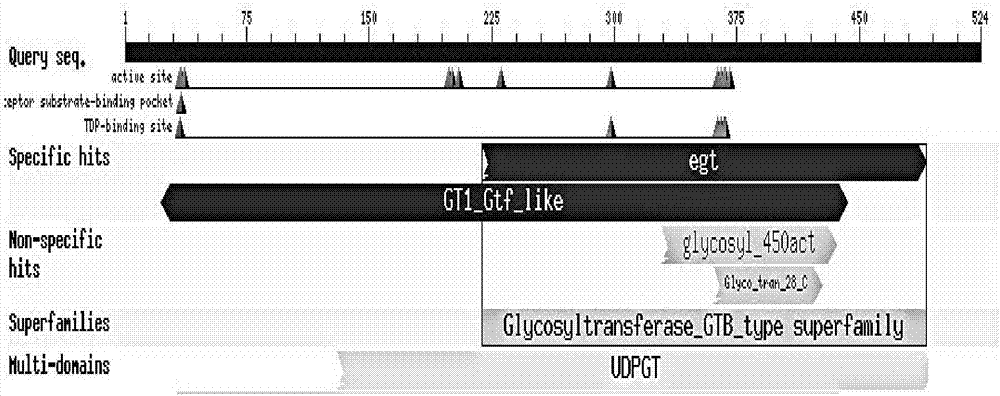 尿苷二磷酸糖基转移酶基因Ugt366的克隆及应用的制造方法与工艺