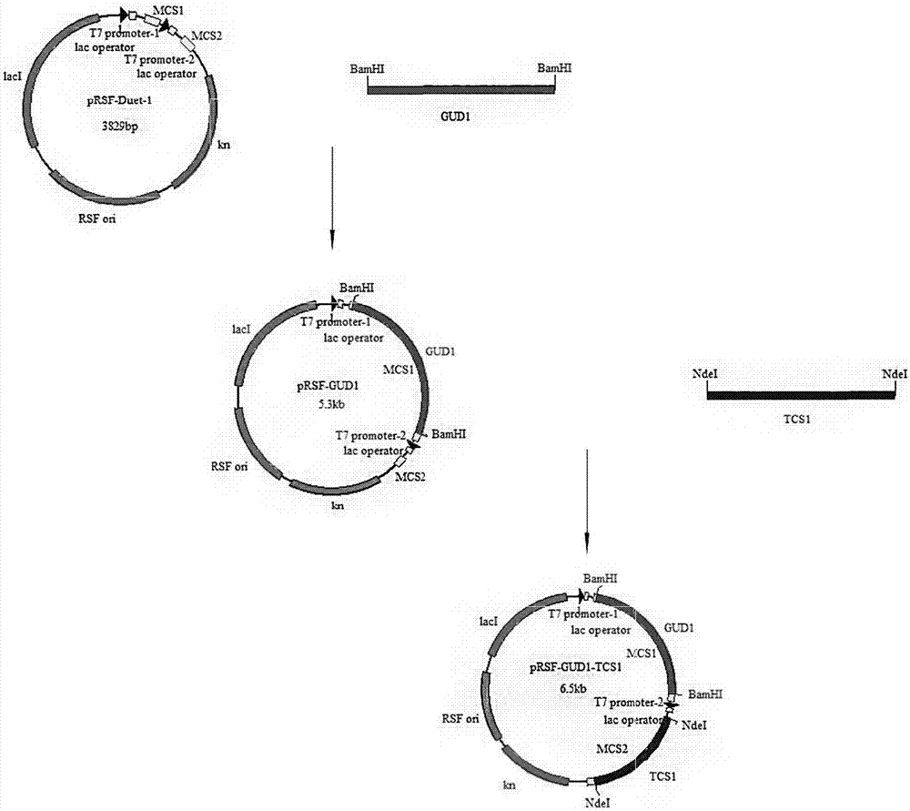 背景技术:甲基黄嘌呤属于嘌呤生物碱类,是黄嘌呤甲基化后的衍生物