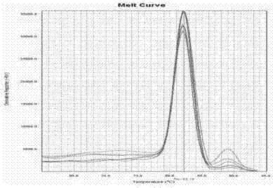 一种荧光定量PCR技术检测意大利蜜蜂王浆主蛋白MRJP 2基因表达的方法与流程