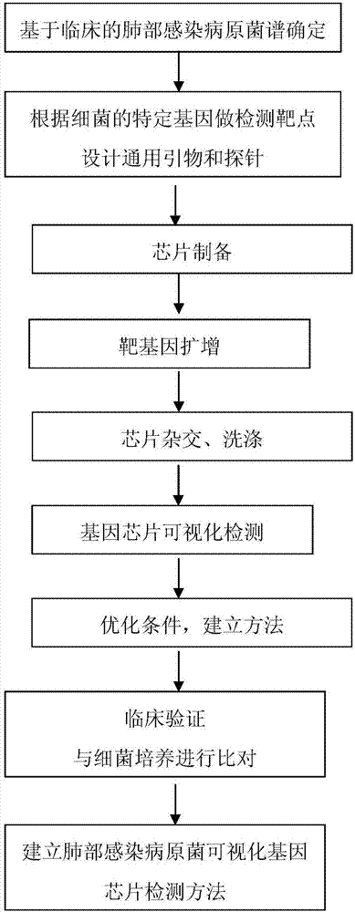 一種可視化基因芯片檢測(cè)肺部感染病原菌的方法與流程