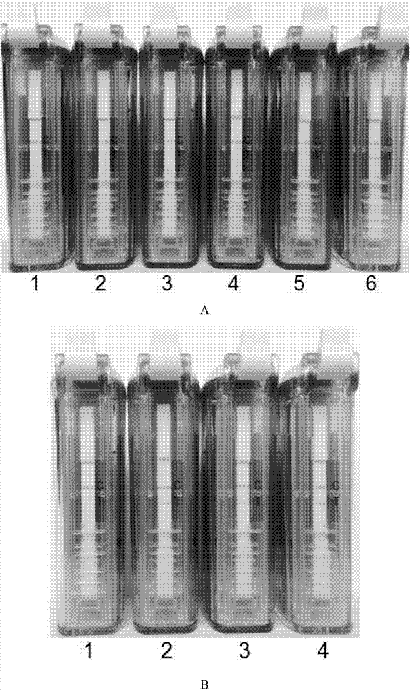 一种流行性乙型脑炎的重组酶常温扩增核酸（RT‑RPA）试纸条检测试剂盒及应用的制造方法与工艺