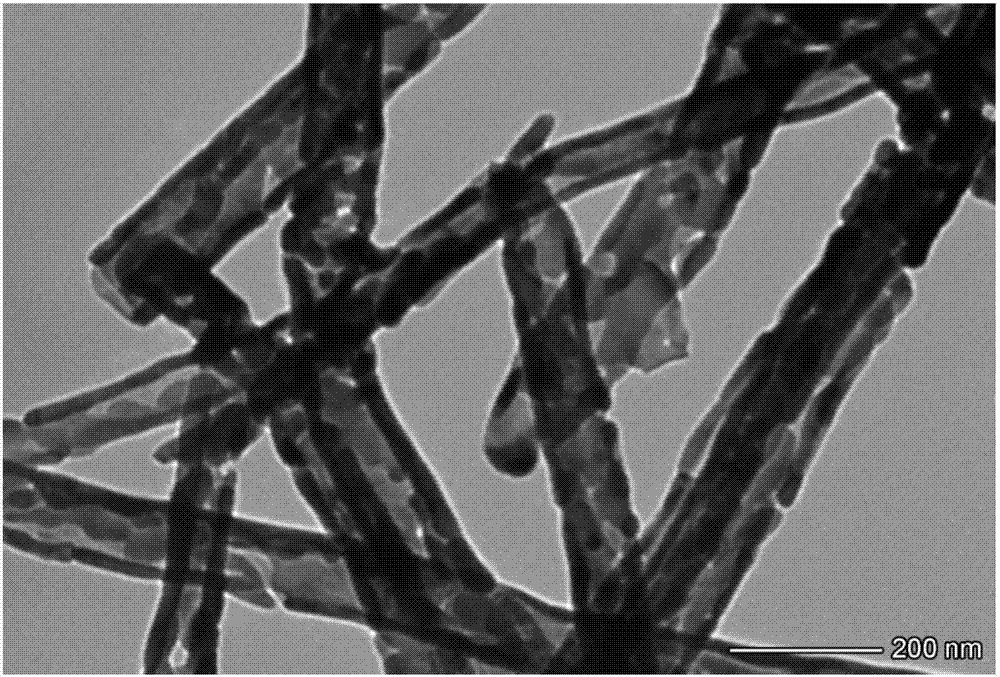 一种磁性Fe3O4纳米纤维材料、制备方法及其在类过氧化物酶催化反应中的应用与流程