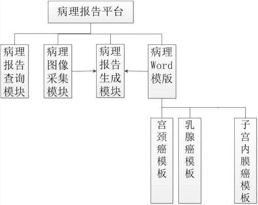 乳腺癌及女性生殖系統(tǒng)的病理診斷報(bào)告生成系統(tǒng)及方法與流程