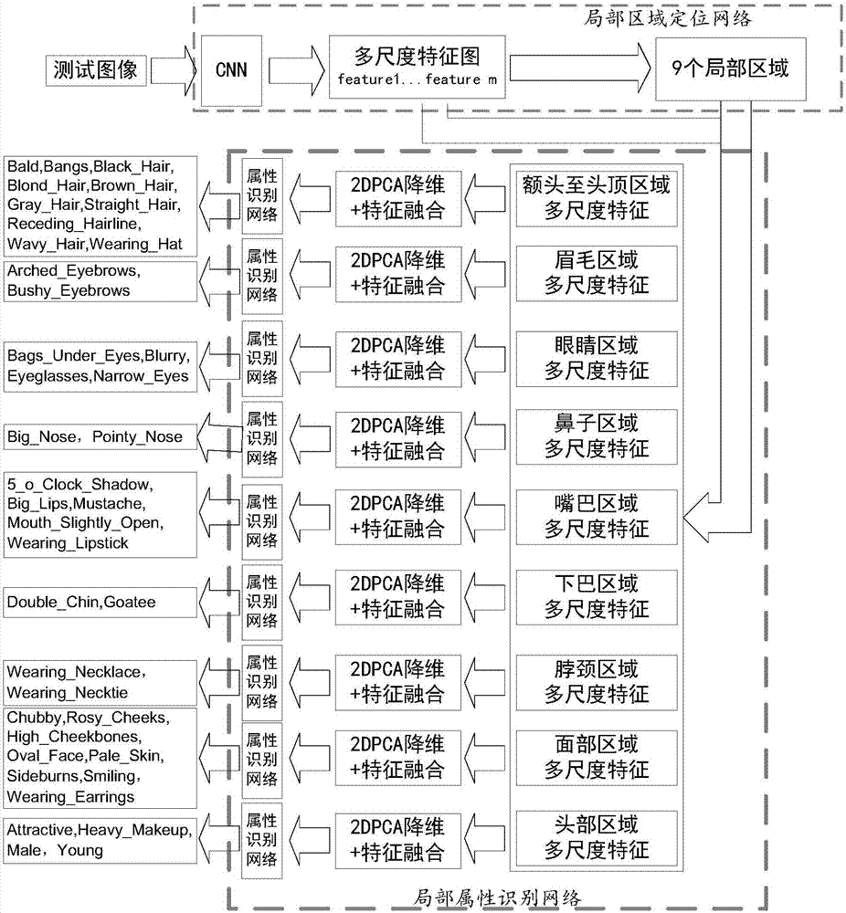 基于深度局部特征的人臉屬性識別方法與流程