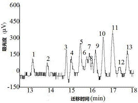 一種以雙親性聚合物與表面活性劑復(fù)合膠束分離測(cè)定染發(fā)劑中禁限用染料的方法與流程