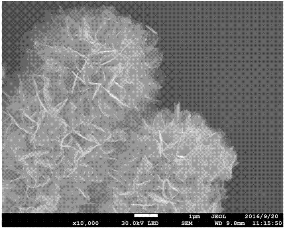 铁掺杂的二硒化镍微米花作为可充室温镁电池正极活性材料的应用的制造方法与工艺