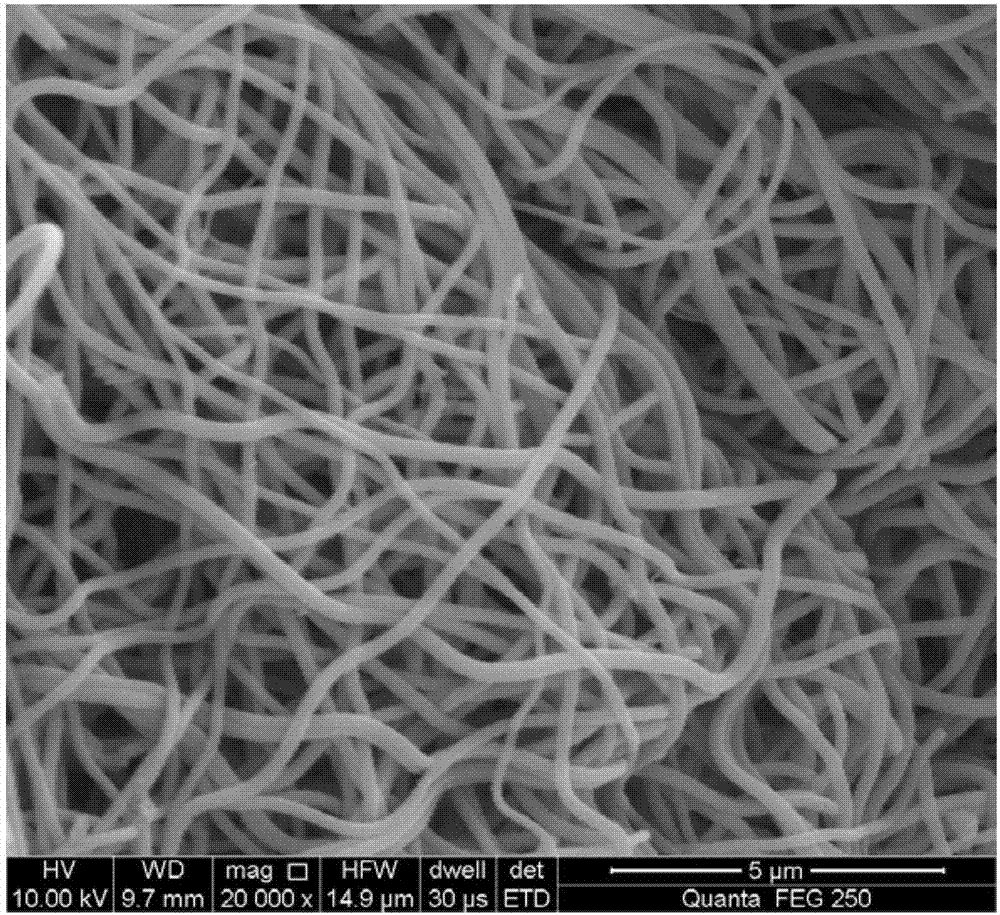 一种碳包覆MoSe2/石墨烯电纺纳米纤维及其制备方法与流程