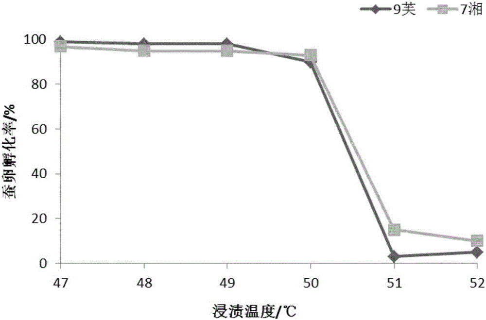 一种针对家蚕双交原种微粒子病胚种垂直传播的防治方法与流程