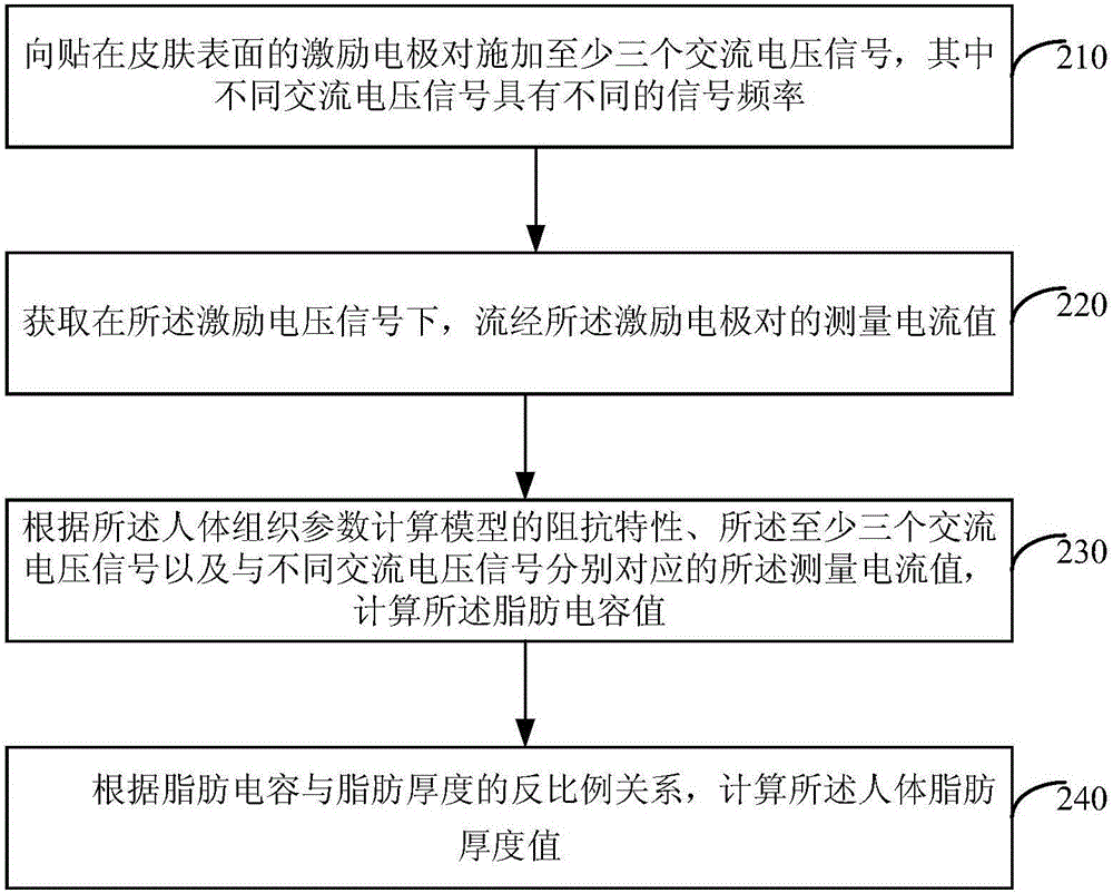 人体组织参数测量方法及测量仪与流程