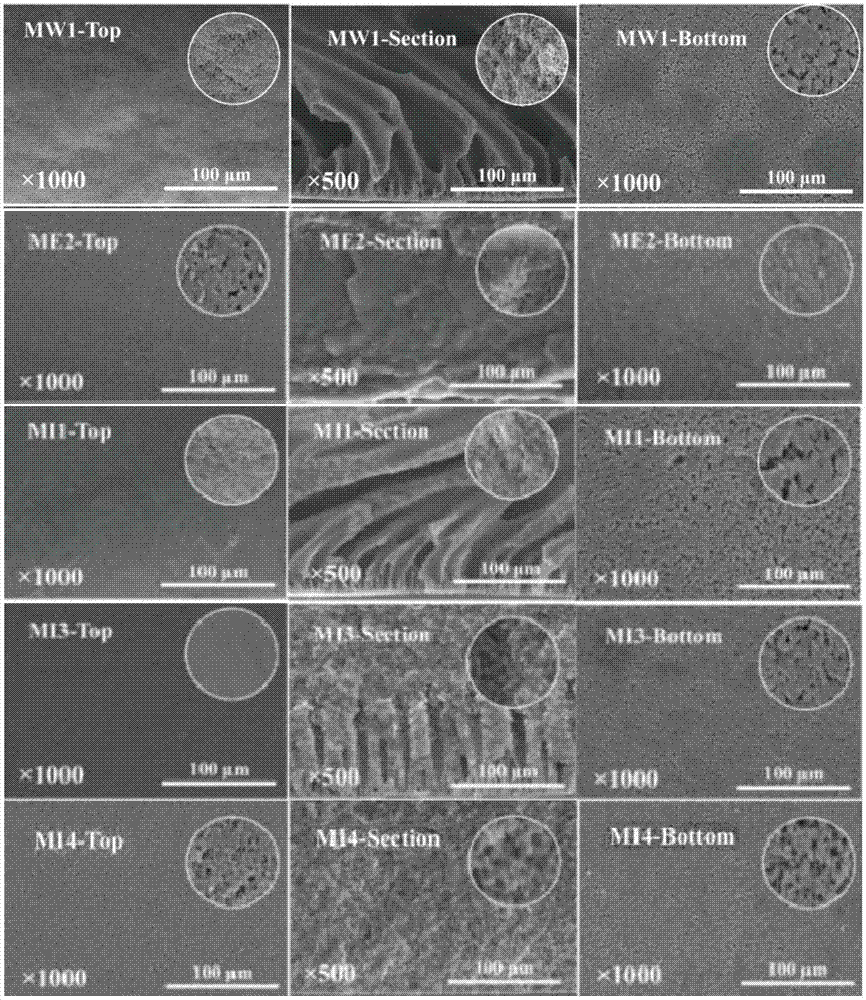 一種用異丙醇凝膠浴調(diào)控親水F127@PVDF改性膜結(jié)構(gòu)的方法與流程