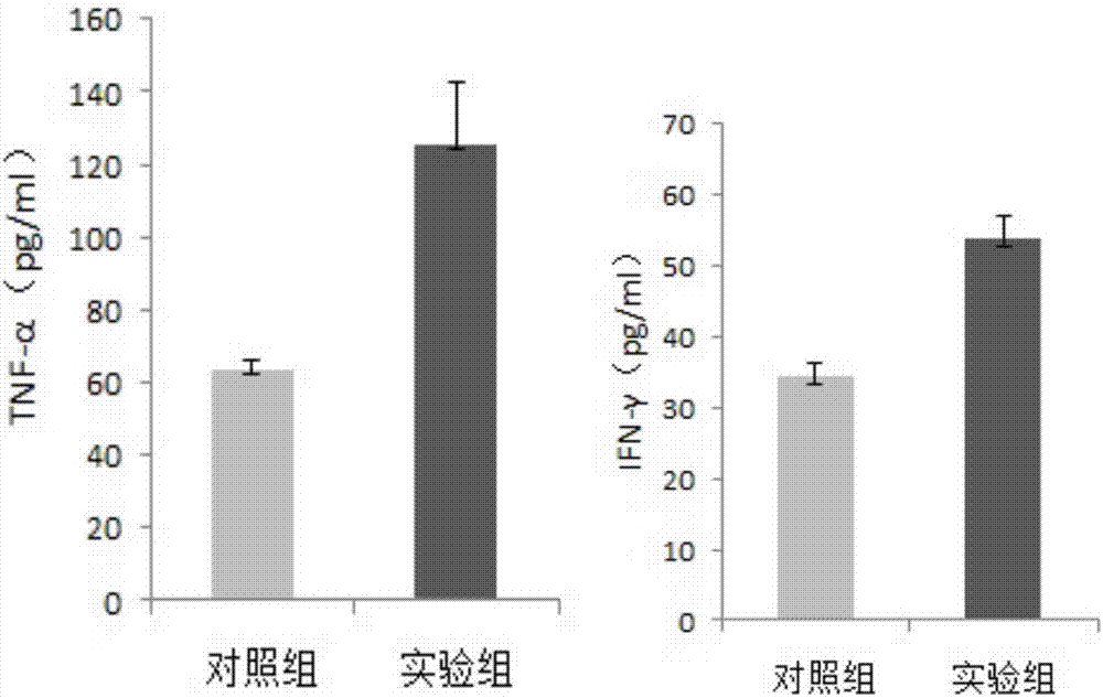 一種簡(jiǎn)單高效的擴(kuò)增γδT細(xì)胞的方法與流程