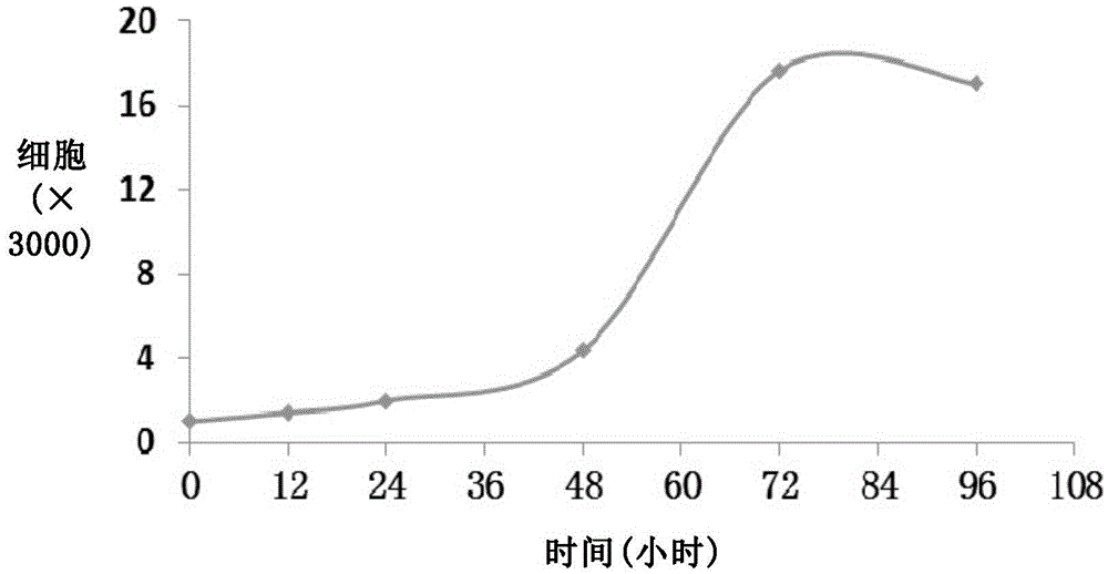 一種具有高成瘤能力的人肝內膽管癌細胞系及其應用的制造方法與工藝