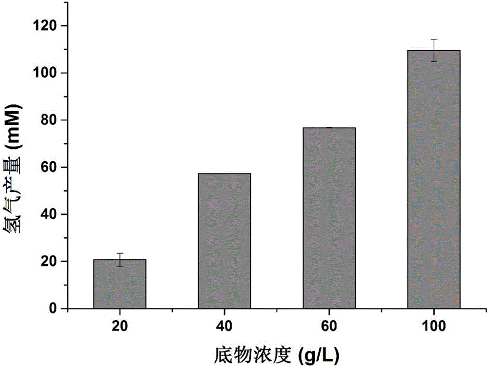 一种直接利用未解毒的酸预处理木质纤维素进行产氢的方法与应用与流程