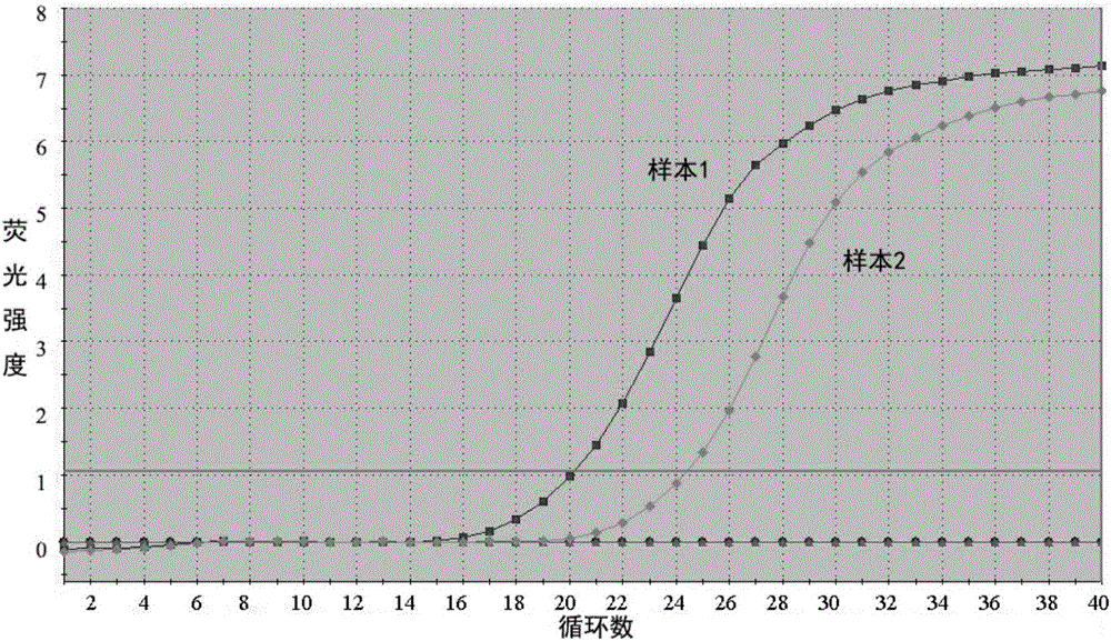 一種胃癌分子標(biāo)志物hsa_circ_0006633及其應(yīng)用的制造方法與工藝