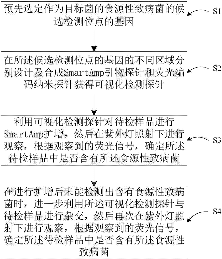 食源性致病菌可视化检测探针及可视化检测方法与流程