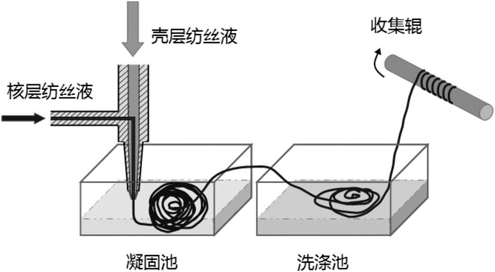 一種基于碳納米材料的核殼結(jié)構(gòu)纖維及其制備方法與流程