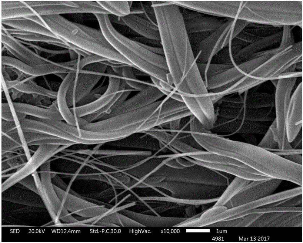 一种束状柔性导电纳米纤维及其制备方法与流程