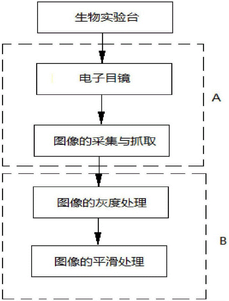 一種顯微鏡下急性分離神經(jīng)細(xì)胞捕捉系統(tǒng)及方法與流程