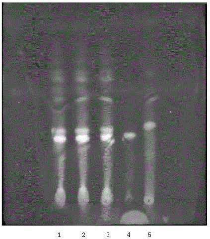 腦震寧薄層色譜鑒別方法與流程