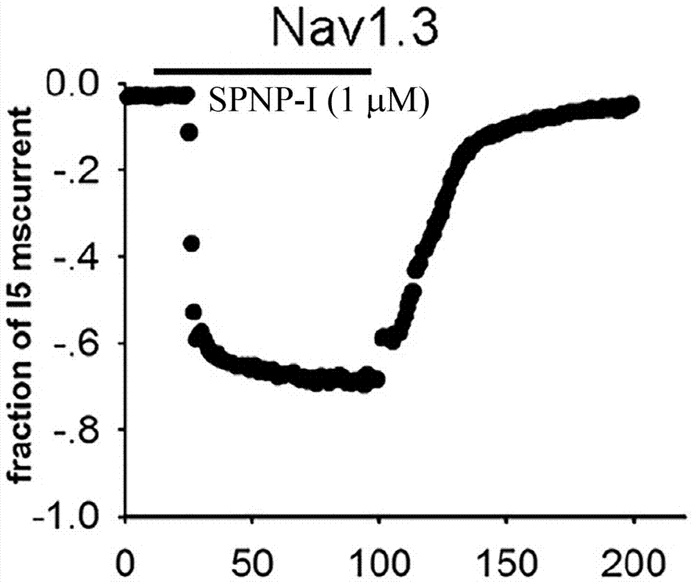 SPNP?I在制備Nav1.3通道工具試劑中的應(yīng)用的制造方法與工藝