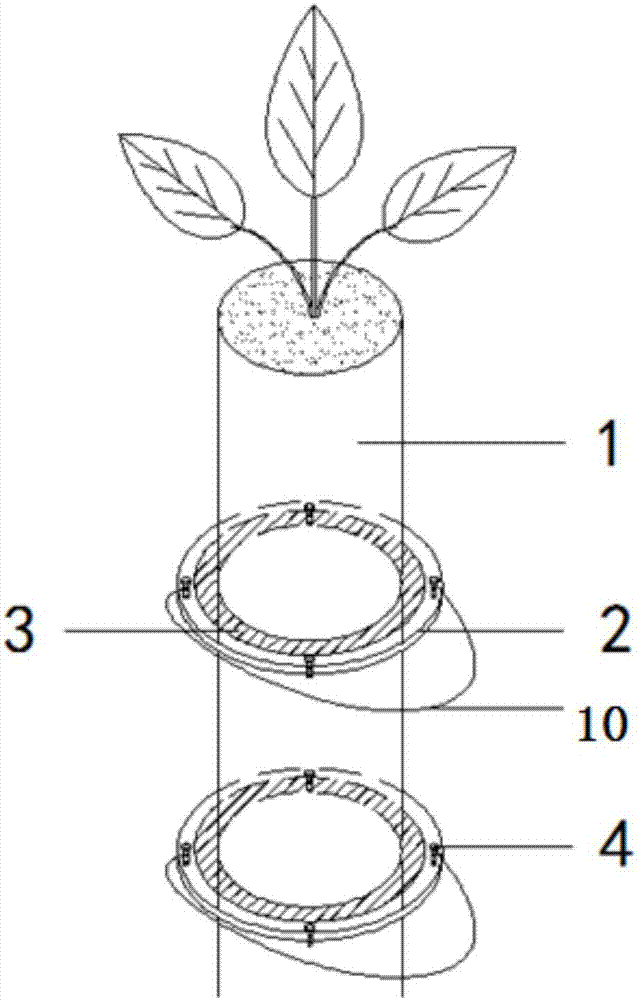 一種便攜式植物分根裝置及其使用方法與流程