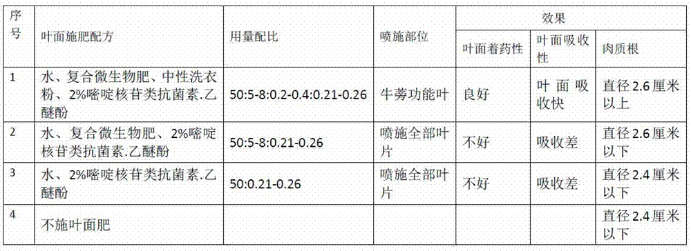 一種設(shè)施牛蒡的栽培方法與流程