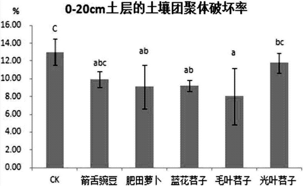 一種提高土壤團(tuán)聚體的綠色輕簡(jiǎn)化種植方法與流程