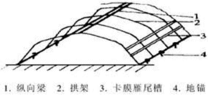 白及種苗的繁殖方法與流程