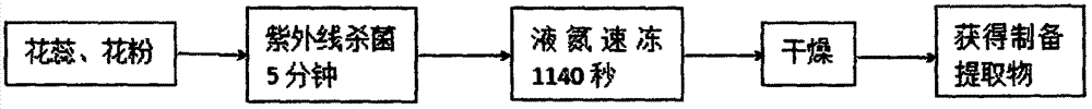 一種藥食同源植物提取物泡騰片及其制備方法與流程