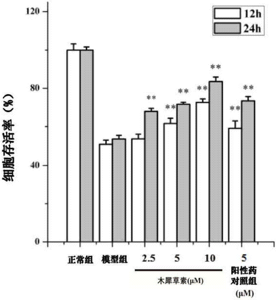 木犀草素在制備治療睪丸組織氧化應(yīng)激損傷藥物中的應(yīng)用的制造方法與工藝