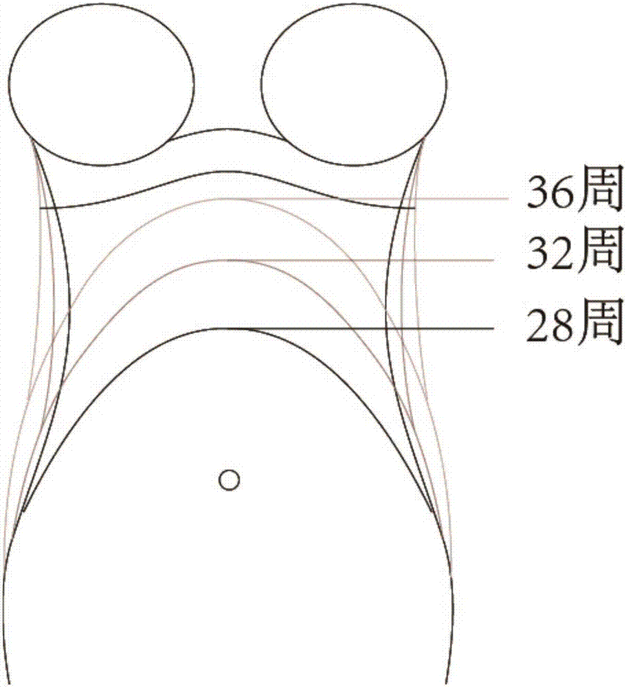 一種可適應(yīng)孕期肚子生長的文胸土臺(tái)及文胸的制造方法與工藝