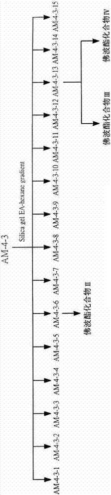 一種沉香樹籽萃取物、制備方法及其應(yīng)用于抗過敏的用途與流程