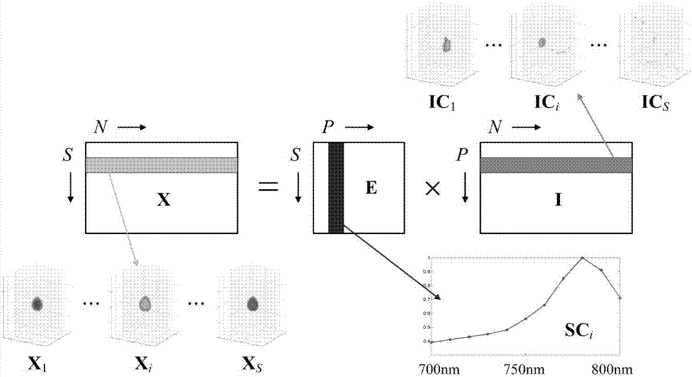 动态荧光分子断层成像的处理方法和系统与流程