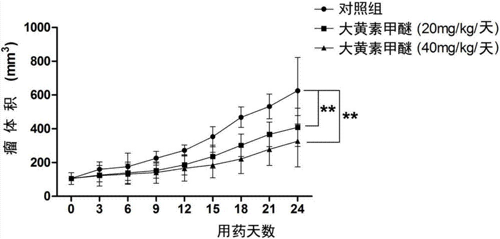 大黃素甲醚及其衍生物的微囊、其制備方法和用途與流程