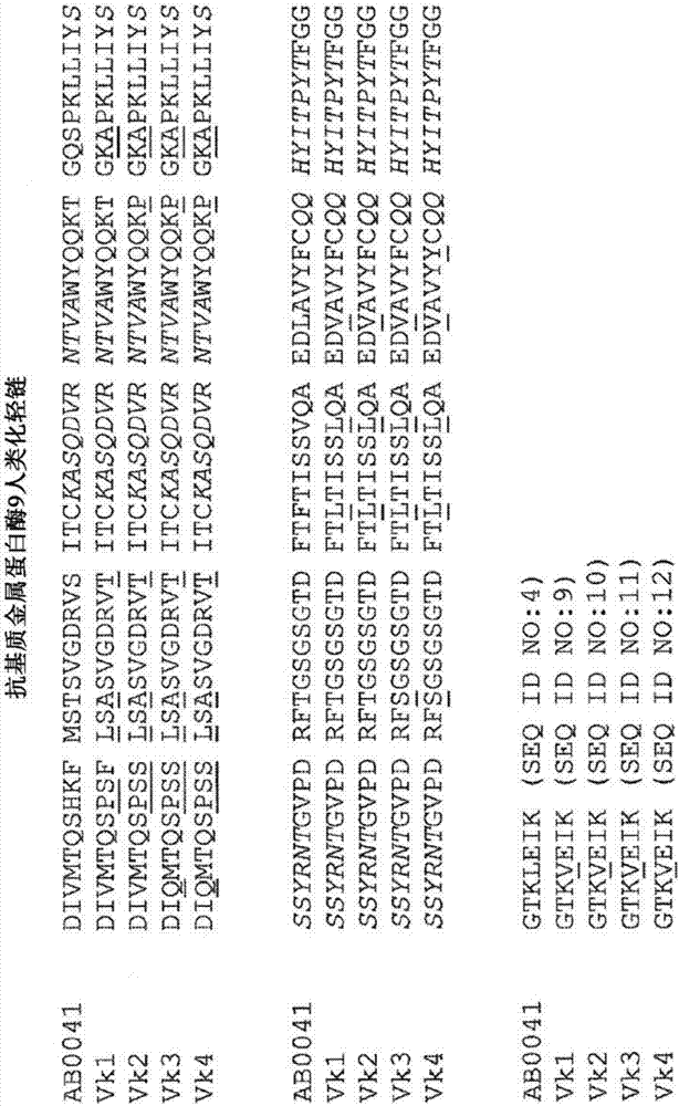 抗基質(zhì)金屬蛋白酶9的抗體的制造方法與工藝