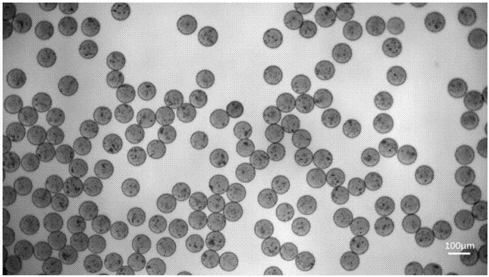 一种包裹载药纳米材料的高分子水凝胶栓塞微球及其制备方法和应用与流程