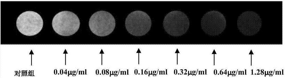 CD44?shRNA/PEG?MZF?NPs 復(fù)合物及其制備方法與流程