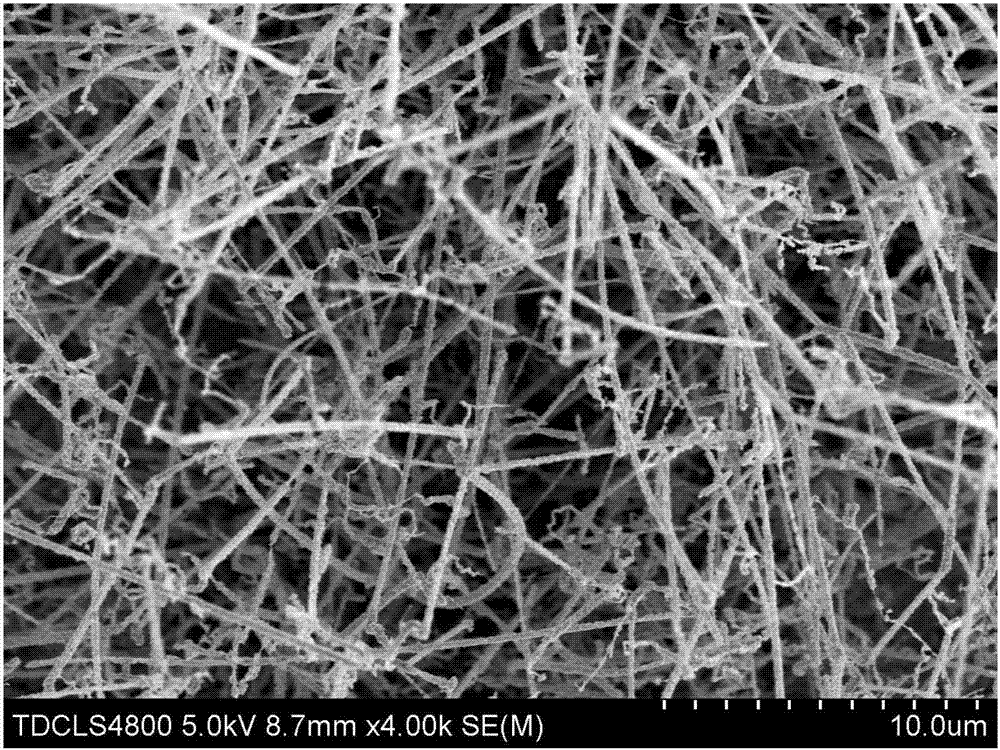在金属片衬底上生长的GaN纳米线光催化材料及制备方法和应用与流程