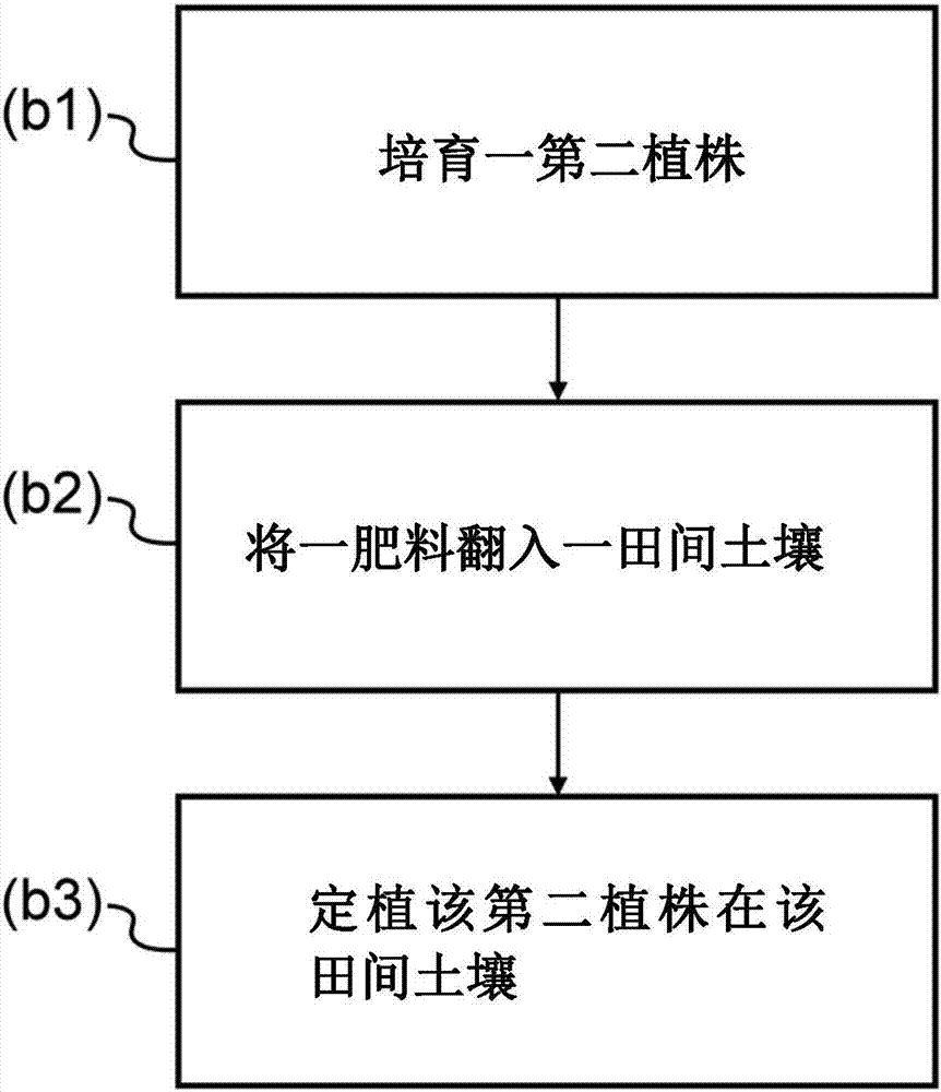 肥料及其施用方法与流程