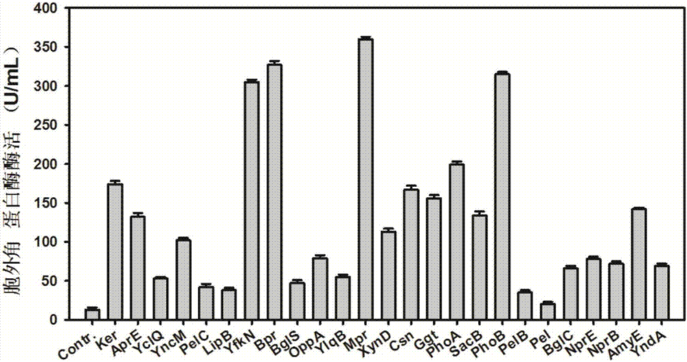 一種優(yōu)化角蛋白酶Ker高效分泌表達(dá)的信號(hào)肽及其應(yīng)用的制造方法與工藝