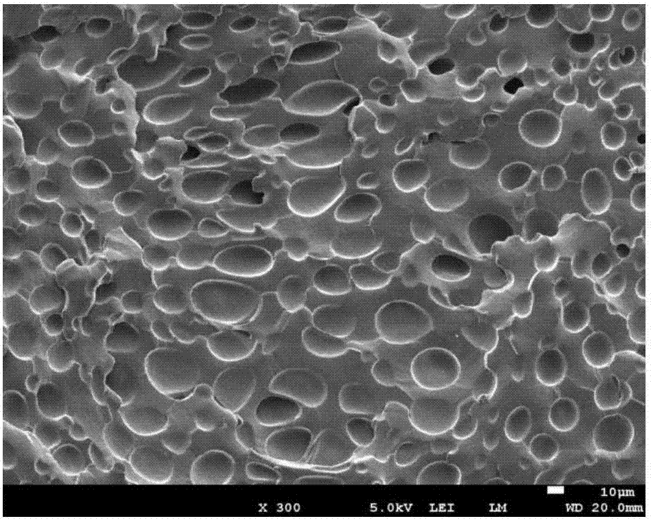 一种丁腈橡胶微孔发泡材料及其制备方法与流程