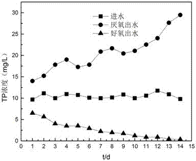 一種短程反硝化聚磷菌快速馴化富集裝置的制造方法