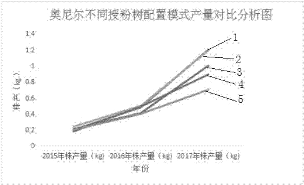 一種藍(lán)莓授粉樹(shù)配置栽培方法與流程