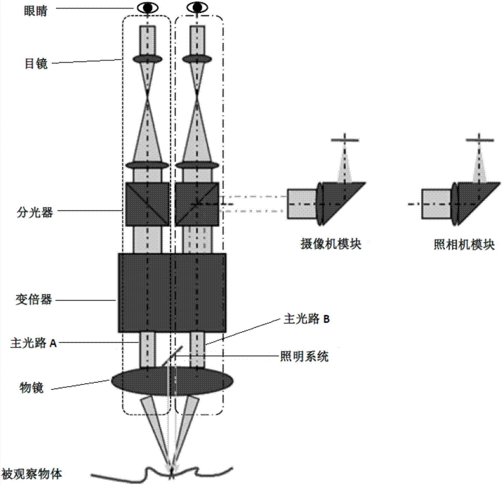 顯微鏡光學(xué)系統(tǒng)的制造方法與工藝