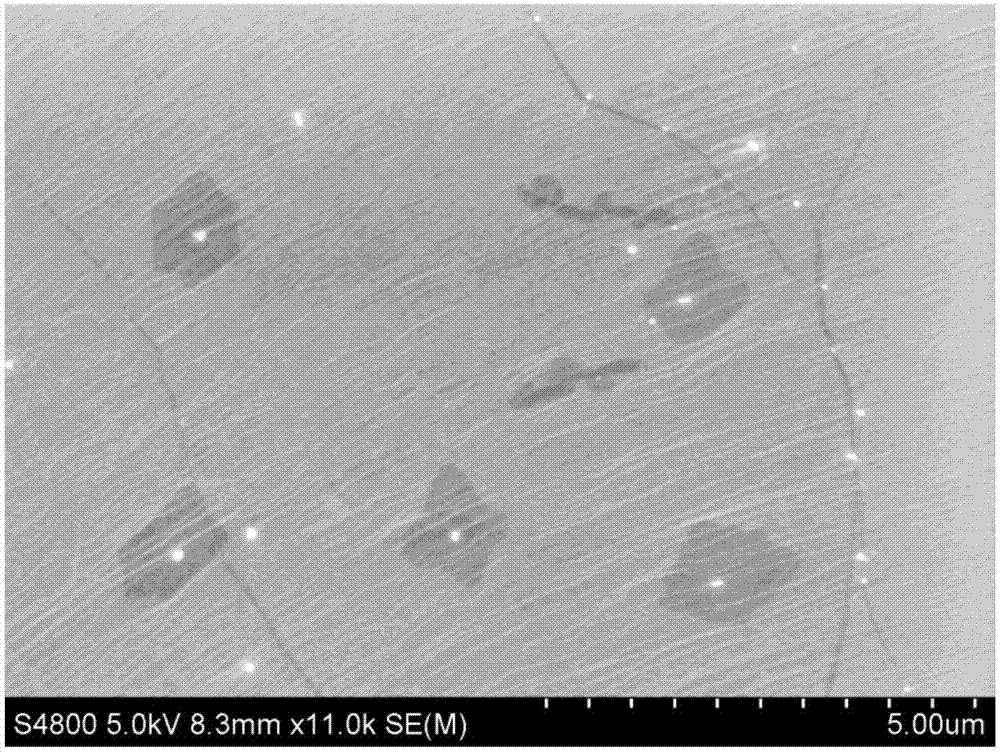 一种以六方氮化硼为点籽晶生长大晶畴石墨烯的方法与流程