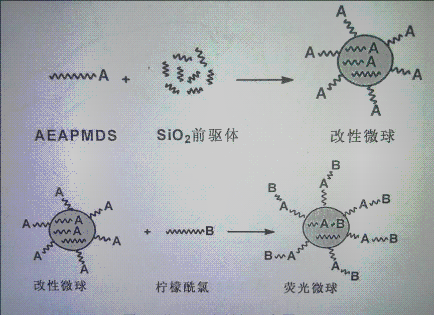 一种有机无机复合荧光微球制备方法与流程