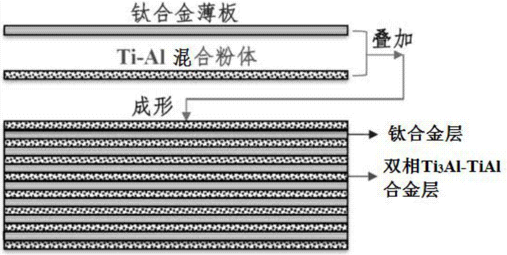 一种钛合金层强韧化双相Ti3Al‑TiAl合金及其制备方法与流程