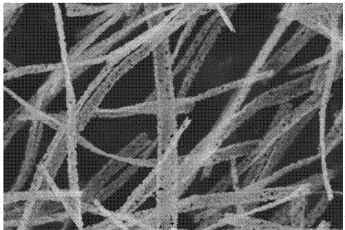 纳米带复合材料制备方法及其在染料敏化太阳能电池光阳极中的应用与流程