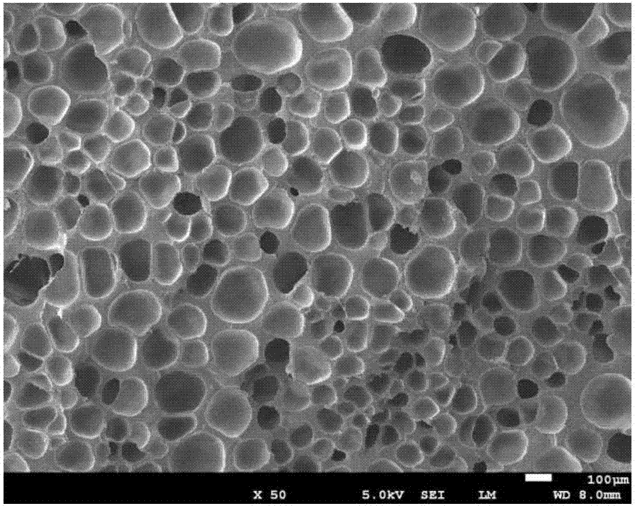 一种氟橡胶微孔发泡材料及其制备方法与流程