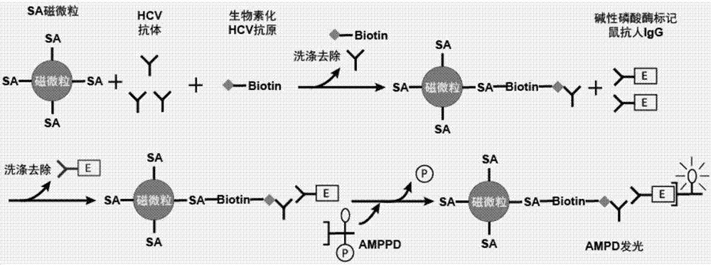 一種預(yù)處理丙肝抗原的方法和檢測(cè)試劑盒與流程